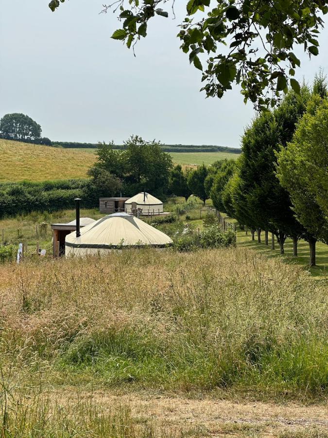 Bracken Yurt At Walnut Farm Glamping Hotel Netherbury Exterior foto